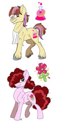 Size: 562x1251 | Tagged: safe, artist:celestial-rainstorm, oc, oc only, oc:birthday bash, oc:kolaky jake, earth pony, pony, apron, clothes, glasses, male, offspring, parent:donut joe, parent:moondancer, parent:party favor, parent:roseluck, parents:moondonut, stallion