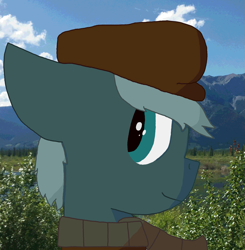 Size: 1567x1596 | Tagged: safe, artist:derpy_the_duck, oc, oc:millie, earth pony, clothes, hat, photo, solo