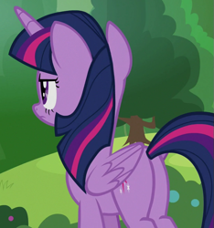 Size: 619x661 | Tagged: safe, screencap, twilight sparkle, twilight sparkle (alicorn), alicorn, pony, 2 4 6 greaaat, butt, cropped, female, plot, solo