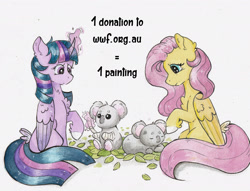 Size: 2686x2054 | Tagged: safe, artist:lightisanasshole, fluttershy, twilight sparkle, twilight sparkle (alicorn), alicorn, koala, pegasus, pony, advertisement, artin' for good, australia, bandage, colored hooves, donation, ear fluff, help, kindness, leaf, long tail, magic, raised hoof, sad, sitting, sleeping, tail feathers, text, traditional art, watercolor painting, wings, worried