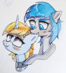 Size: 3080x3368 | Tagged: safe, artist:naet, oc, oc:midnight dagger, oc:skydreams, pony, unicorn, biting, blushing, collar, commission, ear bite, lip bite, traditional art