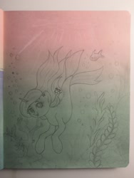 Size: 864x1152 | Tagged: safe, artist:ksupav, oc, oc:ksupav, fish, mermaid, pony, seapony (g4), unicorn, bubble, rcf community, seaweed, sketch, stone scales, traditional art, water