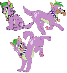 Size: 894x972 | Tagged: safe, artist:toby-wolfkat, spike, dog, equestria girls, alternate design, bone, male, simple background, solo, spike the dog, tongue out, transparent background