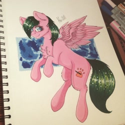 Size: 2448x2448 | Tagged: safe, artist:uglypartyhat, oc, oc only, pegasus, pony, photo, traditional art