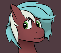 Size: 2448x2139 | Tagged: safe, artist:tav, oc, oc:loco, pony, bust, happy, male, portrait, simple background, solo, stallion