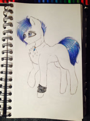 Size: 1024x1366 | Tagged: safe, artist:uglypartyhat, oc, oc only, oc:adam, earth pony, pony, armband, jewelry, pendant, photo, traditional art