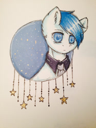 Size: 1024x1366 | Tagged: safe, artist:uglypartyhat, oc, oc only, oc:adam, earth pony, pony, bust, male, photo, portrait, stallion, stars, traditional art