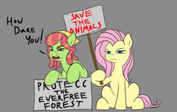 Size: 1233x780 | Tagged: safe, artist:jellymaggot, fluttershy, tree hugger, earth pony, pegasus, pony, /mlp/, 4chan, drawthread, duo, greta thunberg, how dare you?, protecc, protest, sign, simple background, text