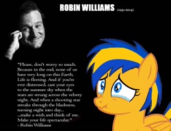 Size: 1024x781 | Tagged: safe, artist:mlpfan3991, oc, oc:flare spark, pegasus, pony, crying, photo, quote, robin williams, tears of pain, text