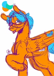 Size: 724x1024 | Tagged: safe, artist:eggbean, oc, oc:spinel stratus, pegasus, pony, blue mane, glasses, orange coat, sketch, tongue out