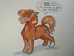 Size: 1280x960 | Tagged: safe, artist:vickywyman, oc, oc only, oc:red shetland, pony, 2011, cutie mark, hoers, red shetland, shetland pony, signature, solo, traditional art