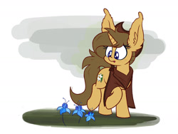 Size: 1280x960 | Tagged: safe, artist:heir-of-rick, oc, oc:buckwheat, pony, unicorn, clothes, commission, cowboy hat, cute, female, freckles, hat, mare, poison joke, poncho, raised hoof, solo, stetson