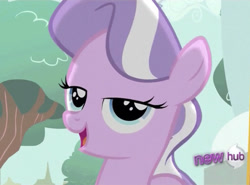 Size: 1015x750 | Tagged: safe, screencap, diamond tiara, earth pony, pony, ponyville confidential, 'new', bedroom eyes, cute, diamondbetes, female, filly, hub logo, lidded eyes, new, open mouth, solo