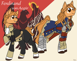 Size: 1280x1024 | Tagged: safe, artist:housho, earth pony, pony, armor, clothes, coat markings, ferdinand von aegir, fire emblem, fire emblem: three houses, male, ponified, stallion, star (coat marking)