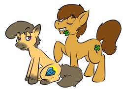 Size: 799x582 | Tagged: artist needed, source needed, safe, oc, oc only, oc:charmed clover, earth pony, pony, clover, duo, earth pony oc, eyes closed, flower, flower in mouth, four leaf clover, grin, male, mouth hold, raised hoof, simple background, sitting, smiling, stallion, unshorn fetlocks, white background