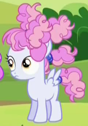 Size: 242x345 | Tagged: safe, screencap, cotton puff, pegasus, pony, brotherhooves social, blank flank, cropped, female, filly, frizzy hair, solo focus