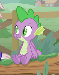 Size: 416x529 | Tagged: safe, screencap, spike, dragon, the point of no return, claws, cropped, cute, fangs, folded wings, log, male, sitting, smiling, solo focus, spread toes, toes, underfoot, winged spike, wings