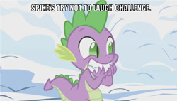 Size: 639x362 | Tagged: safe, edit, edited screencap, editor:undeadponysoldier, screencap, spike, dragon, winter wrap up, caption, hands on face, image macro, male, meme, smiling, snow, solo, stifling laughter, teeth, text, try not to laugh challenge