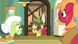 Size: 1920x1080 | Tagged: safe, screencap, apple bloom, big macintosh, granny smith, pony, going to seed, helmet, net, rope, saddle bag