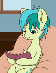 Size: 1404x1820 | Tagged: safe, artist:chedx, sandbar, earth pony, pony, book, cropped, cutie mark, male, reading, smiling