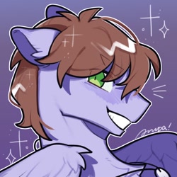 Size: 800x800 | Tagged: safe, artist:snowillusory, oc, oc:poniton, pegasus, pony, bust, collar, eye clipping through hair, green eyes, grin, icon, male, pegasus oc, raffle prize, side view, smiling, sparkles, stallion