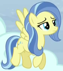 Size: 339x386 | Tagged: safe, screencap, sunshower, pegasus, pony, tanks for the memories, background pony, cropped, female, mare, solo