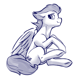 Size: 2000x2000 | Tagged: safe, artist:dimfann, soarin', pegasus, pony, monochrome, simple background, sitting, solo, white background