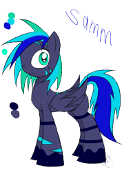 Size: 888x1150 | Tagged: safe, artist:didun850, oc, oc:samm, pegasus, pony, colored hooves, signature, simple background, solo, transparent background