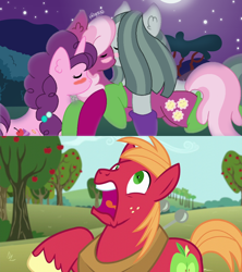 Size: 1202x1352 | Tagged: safe, artist:doodleponyxx, artist:mondlichtkatze, edit, screencap, big macintosh, cheerilee, marble pie, sugar belle, earth pony, pony, unicorn, no second prances, blushing, clothes, cropped, do not want, dream, female, horrified, husband and wife, imagination, imagine spot, infidelity, lesbian, lesbian in front of boys, male, marbilee, nightmare, polyamory, reaction, screaming, shipping, socks, sugarlee, sugarmarilee, the horror, uh oh, waking up