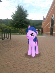 Size: 3024x4032 | Tagged: safe, photographer:undeadponysoldier, twilight sparkle, unicorn twilight, pony, unicorn, appalachian state university, augmented reality, building, college, female, gameloft, irl, mare, photo, ponies in real life, solo, tree