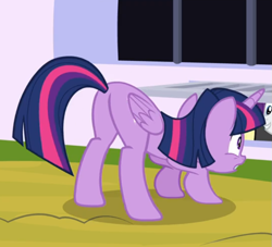 Size: 705x640 | Tagged: safe, screencap, rarity, twilight sparkle, twilight sparkle (alicorn), alicorn, pony, unicorn, sparkle's seven, butt, cropped, crouching, face down ass up, offscreen character, plot, rear view