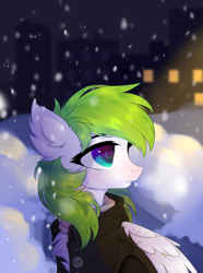 Size: 2869x3866 | Tagged: safe, artist:alkit_is_not_me, oc, oc:kiwi blaze, pegasus, pony, night, snow, snowfall, solo