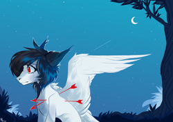 Size: 4951x3508 | Tagged: safe, artist:alkit, artist:alkit_is_not_me, oc, oc only, pegasus, pony, arrows, moon, night, shooting star, solo, stars, tree