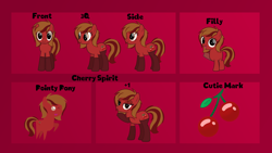 Size: 1920x1080 | Tagged: safe, artist:thunder-blur, oc, oc:cherry spirit, earth pony, pony, female, filly, reference sheet, solo