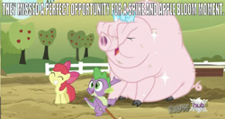 Size: 640x337 | Tagged: safe, edit, edited screencap, editor:undeadponysoldier, screencap, apple bloom, spike, dragon, earth pony, pig, pony, spike at your service, 'new', adorable face, apple tree, bow, brush, caption, cute, disappointment, female, fence, filly, hub logo, image macro, little piggington, male, shipping, smiling, spikebloom, straight, sweet apple acres, text, tree