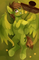 Size: 1500x2320 | Tagged: safe, artist:tangomangoes, oc, oc:olive hue, pegasus, pony, grass, sign, solo