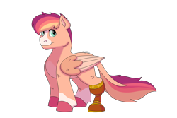 Size: 1280x854 | Tagged: safe, artist:itstechtock, oc, oc:whimsical whirligig, pegasus, pony, amputee, male, prosthetic leg, prosthetic limb, prosthetics, simple background, solo, stallion, transparent background