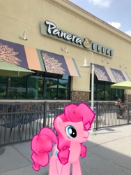 Size: 3024x4032 | Tagged: safe, derpibooru import, photographer:undeadponysoldier, pinkie pie, earth pony, human, pony, augmented reality, building, female, gameloft, irl, irl human, lamppost, mall, mare, panera bread, photo, ponies in real life, restaurant, umbrella