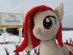 Size: 2048x1556 | Tagged: safe, artist:hihin1993, oc, oc:poniko, female, irl, japan, photo, plushie, sign, snow, solo