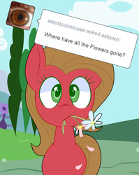 Size: 638x800 | Tagged: safe, artist:ask-inkieheart, oc, oc:pun, earth pony, pony, ask, ask pun, female, flower, mare, solo