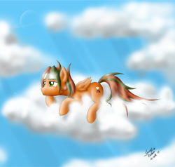 Size: 1466x1394 | Tagged: safe, artist:zigword, oc, oc only, cloud, pilot glasses, sky, solo