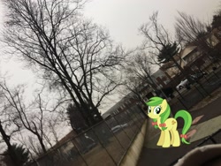 Size: 3264x2448 | Tagged: safe, edit, editor:topsangtheman, apple fritter, earth pony, pony, apple family member, irl, looking at you, offscreen character, park, photo, ponies in real life, pov, swinging