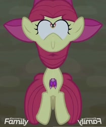 Size: 856x1024 | Tagged: safe, edit, edited screencap, screencap, apple bloom, pony, going to seed, season 9, cropped, discovery family logo, out of context, solo, unitinu