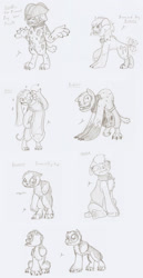 Size: 1217x2358 | Tagged: safe, artist:ravenpuff, oc, oc only, oc:brownie, oc:butcher, oc:petri daston, oc:rowena, oc:scruffy, oc:starfish, anthro, diamond dog, digitigrade anthro, amputee, apron, bipedal, blood, chest fluff, clothes, collar, diamond dog oc, diamond dogified, female, freckles, frown, hat, looking up, male, naked apron, one eye closed, panting, pirate hat, sad, shrug, sitting, species swap, spiked collar, tail wag, text, tongue out, vest, wink