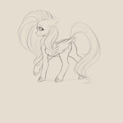 Size: 4000x4000 | Tagged: safe, artist:miokomata, fluttershy, pegasus, pony, female, floppy ears, freckles, freckleshy, looking at you, mare, neck fluff, profile, simple background, sketch, white background