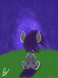 Size: 768x1024 | Tagged: safe, artist:geoxten, derpibooru import, pony, night, stars