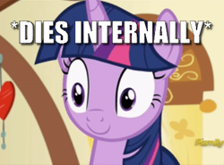 Size: 377x279 | Tagged: safe, edit, edited screencap, screencap, twilight sparkle, twilight sparkle (alicorn), alicorn, a flurry of emotions, caption, cropped, image macro, meme, solo, text, x internally