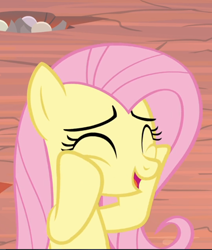 Size: 700x825 | Tagged: safe, screencap, fluttershy, pegasus, pony, sweet and smoky, cheek squish, cropped, cute, eyes closed, female, mare, open mouth, shyabetes, smiling, solo, squishy cheeks