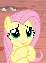 Size: 634x872 | Tagged: safe, screencap, fluttershy, pegasus, pony, sweet and smoky, cropped, cute, female, hooves together, mare, shyabetes, smiling, solo
