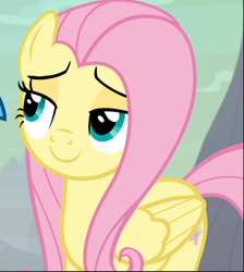 Size: 843x940 | Tagged: safe, screencap, fluttershy, pegasus, pony, sweet and smoky, cropped, cute, female, lidded eyes, mare, shyabetes, smiling, smug, smugshy, solo